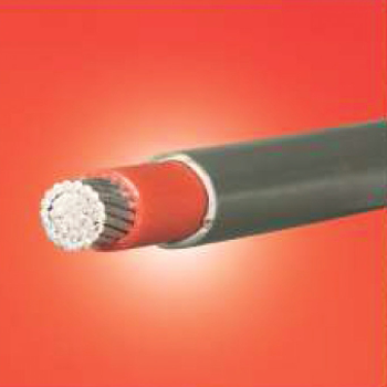 LT 1.1 KV Unarmoured Power Cables Manufacturers in Hooghly